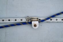 contact business support numbers