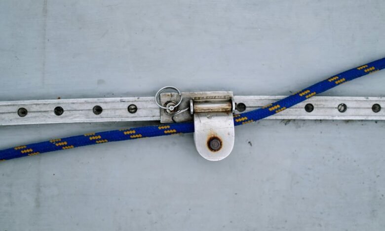 contact business support numbers