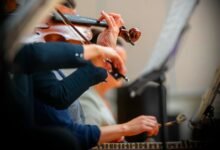 dataset interpretation notes provided