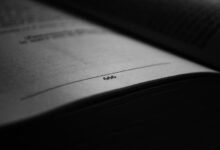 beginner s guide to 7252799543